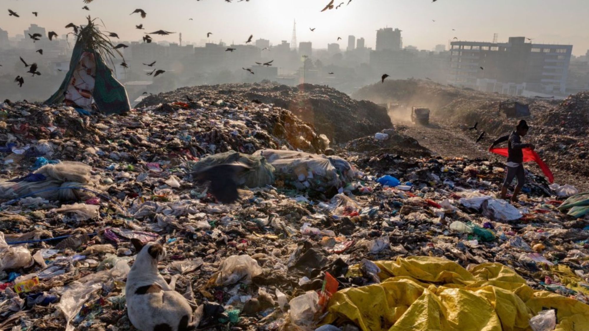 A landfill of waste showing devastating effects of waste on our environment